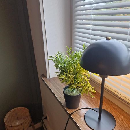 3 Zimmer Ferienwohnung Harter Brocken ザンクト・アンドレーアスベルク エクステリア 写真