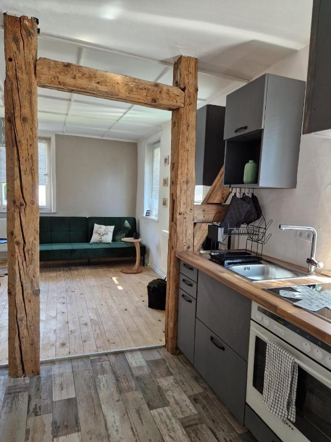 3 Zimmer Ferienwohnung Harter Brocken ザンクト・アンドレーアスベルク エクステリア 写真