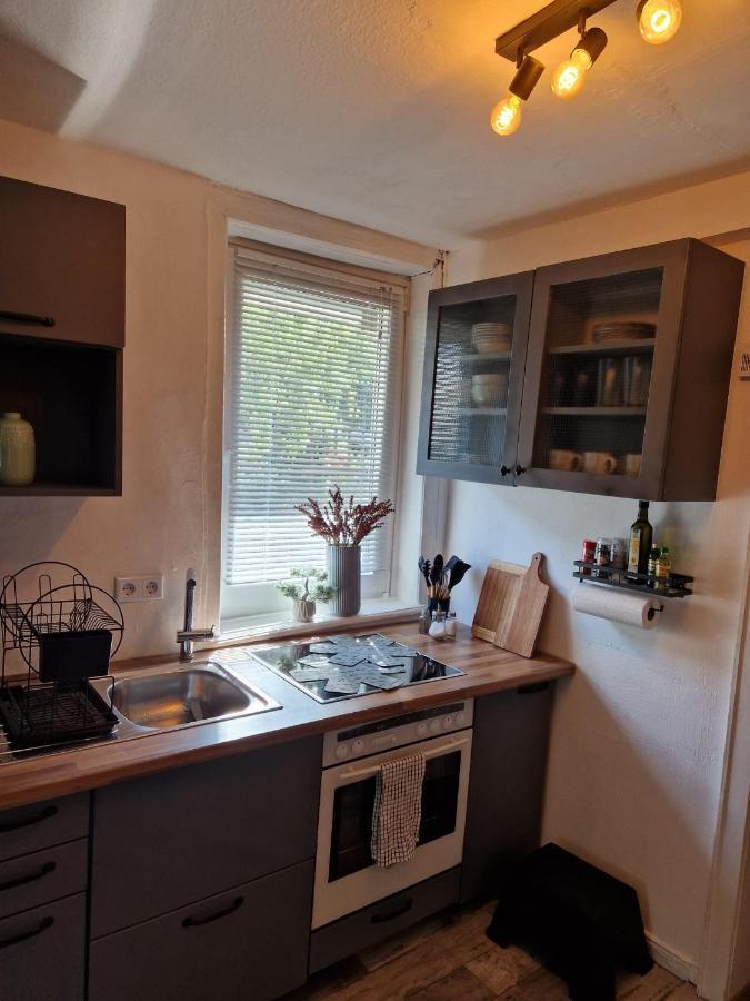 3 Zimmer Ferienwohnung Harter Brocken ザンクト・アンドレーアスベルク エクステリア 写真