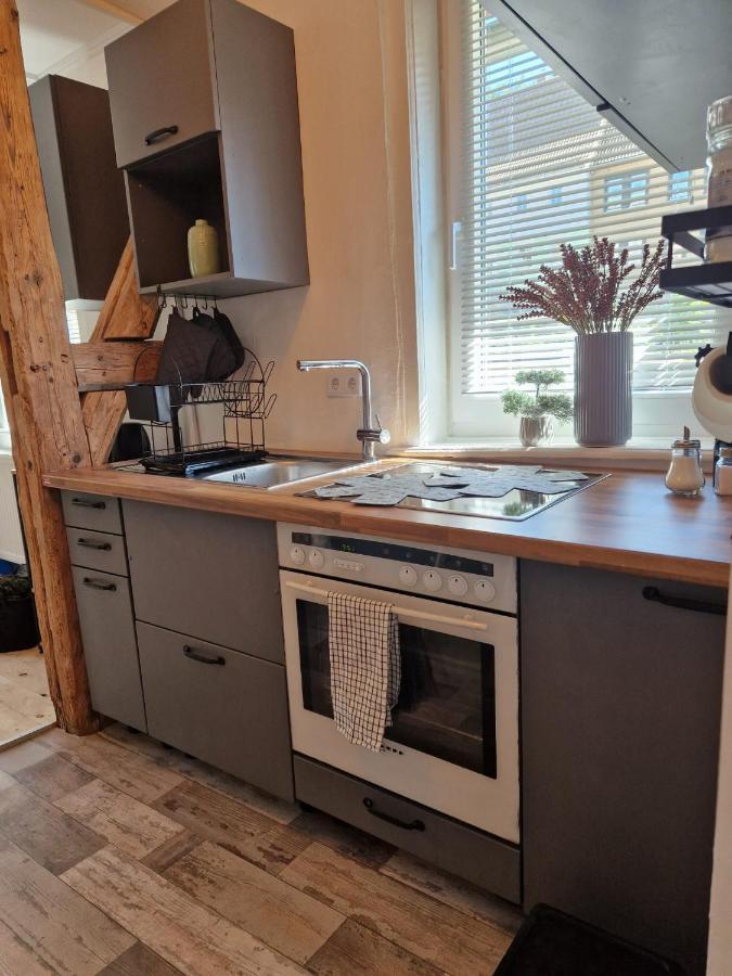 3 Zimmer Ferienwohnung Harter Brocken ザンクト・アンドレーアスベルク エクステリア 写真